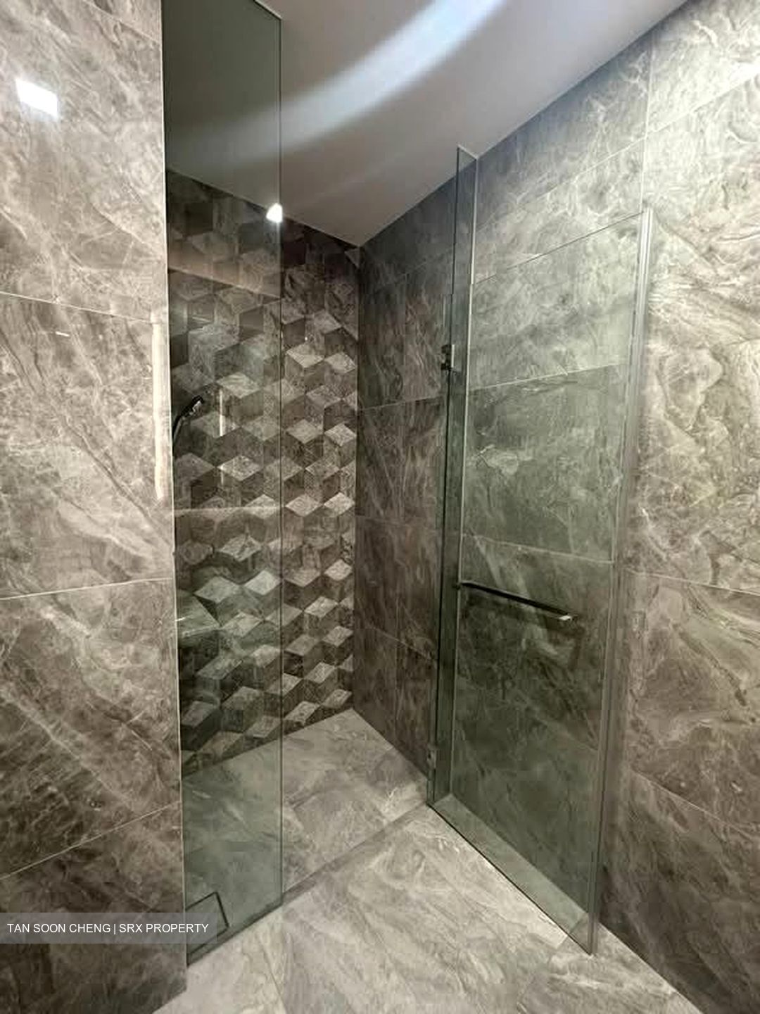 Leedon Green (D10), Condominium #528708741